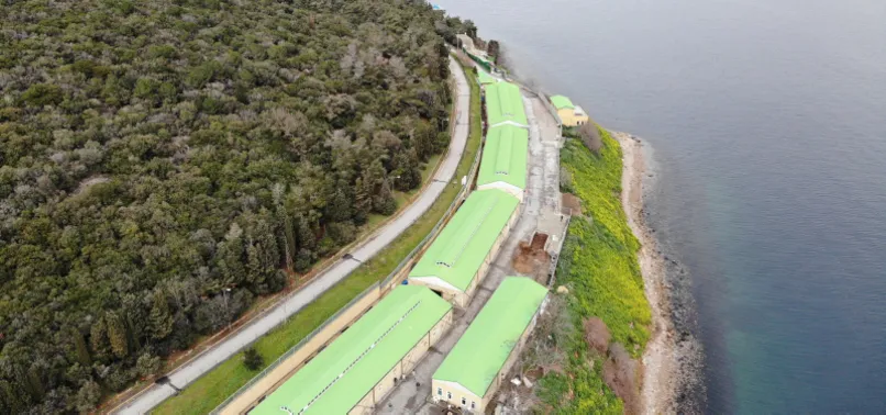CHP'li İBB Başkanı İmamoğlu'nun bir vaadi daha boş çıktı! 'Sahiplendireceğiz' dediği atlar ahıra hapsedildi