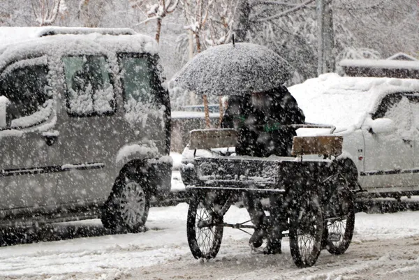 istanbula-kar-geliyor-meteorolojinin-5-gunluk-haritasina-yansidi-sogugun-devami-lapa-lapa-kar-1706265357623.jpg İstanbul'a kar geliyor! Meteoroloji'nin 5 günlük haritasına yansıdı | Soğuğun devamı lapa lapa kar - 11