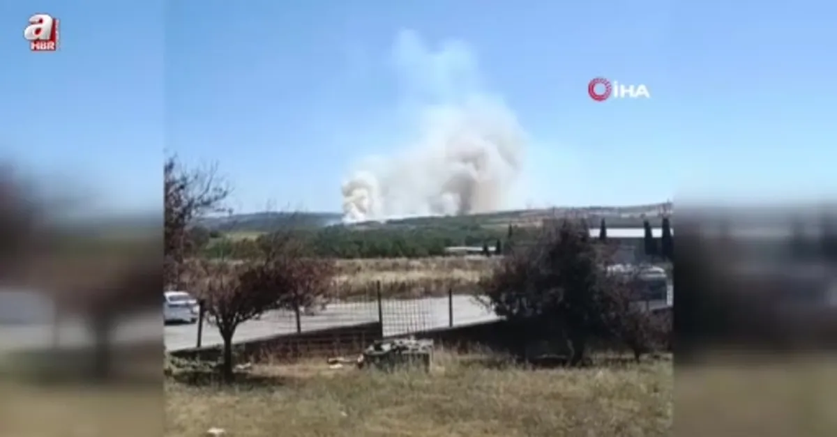 Silivri'de tarım arazisi yangını