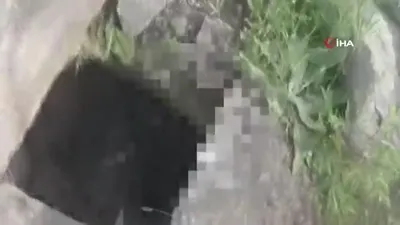 Kar kuyusunda kemikleri bulunan...