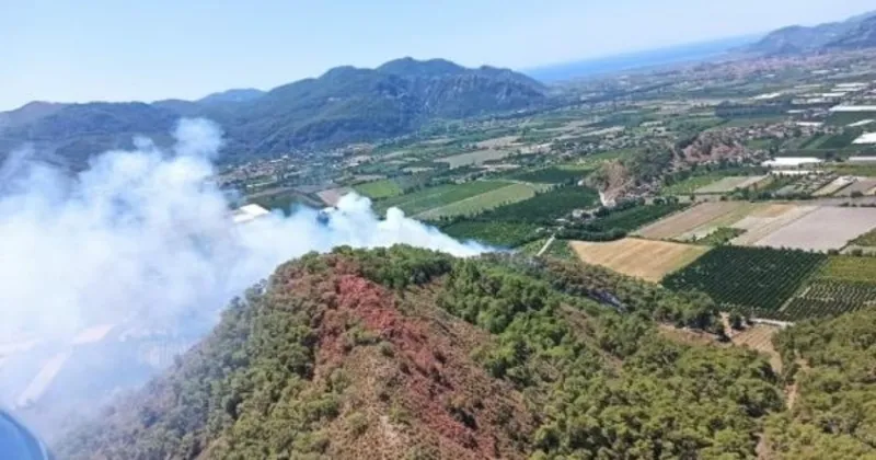 Muğla’da korkutan orman yangını: 3 saat sonra kontrol altına alındı