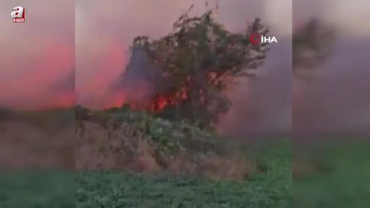 Hopa'da ziraat alanında çıkan yangın ormana sıçradı