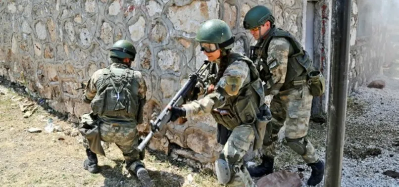TSK bir haftada 20 teröristi etkisiz hale getirdi