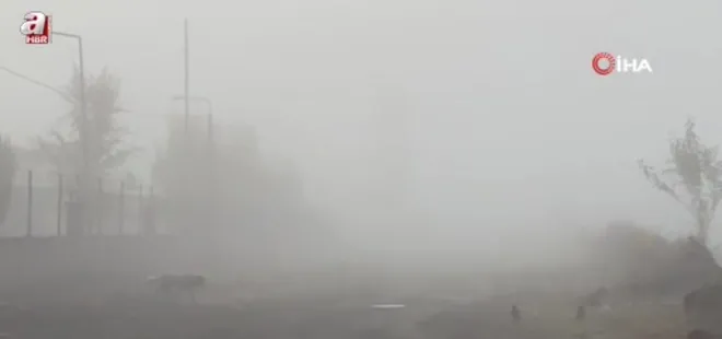 Iğdır’da yoğun sis etkili oldu