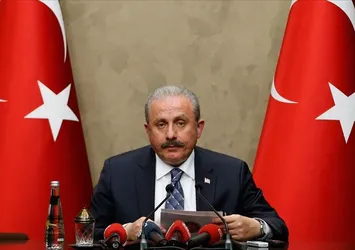 TBMM Başkanı Şentop'tan yeni yıl mesajı