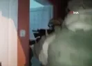 Bitlis merkezli 4 ilde operasyon!