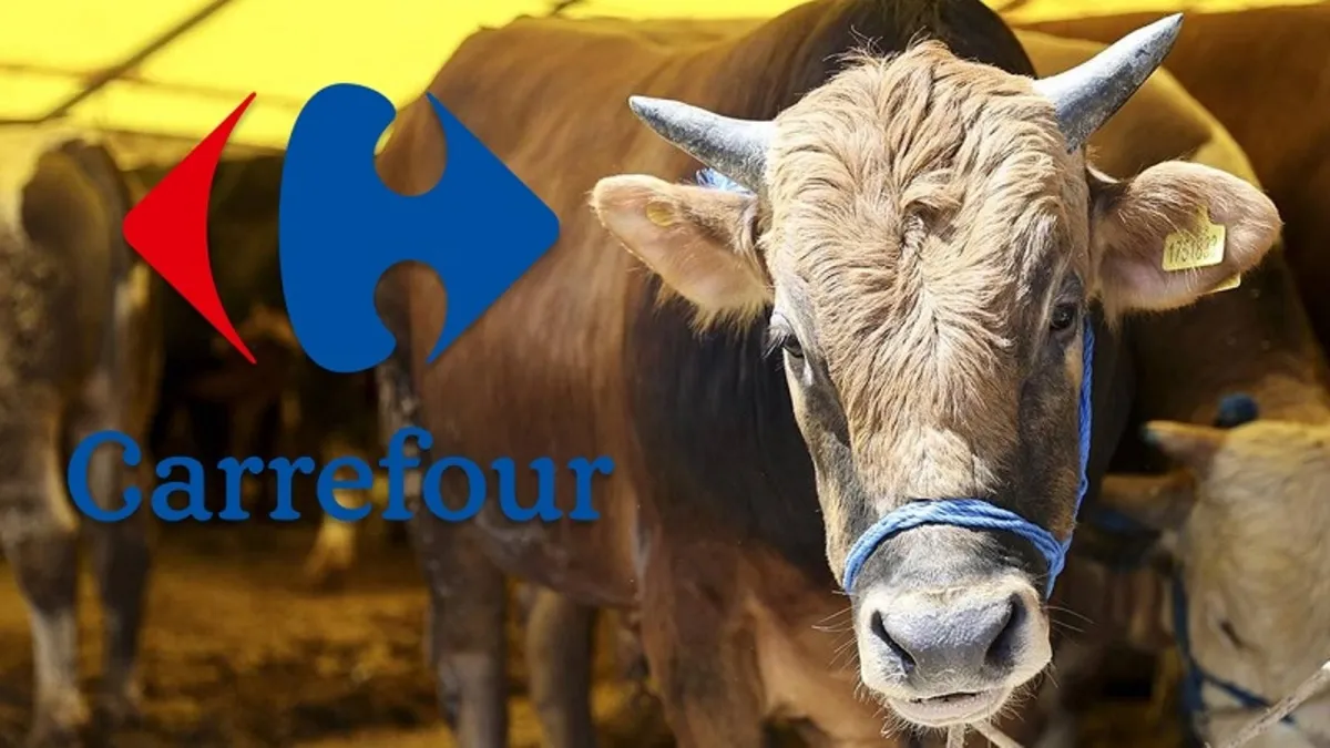 Carrefoursa 2024 Kurbanlık Fiyatları Belli Oldu! 9.750 TL’den Başlıyor: Büyükbaş Hisse Paketi ve Küçük kurbanlık fiyatı ne kadar?