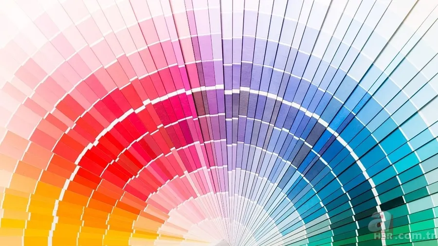 Sadece 5 kişi görebiliyor! Bilim insanları açıkladı: Yeni keşfedilen rengin sırrı ne? 1