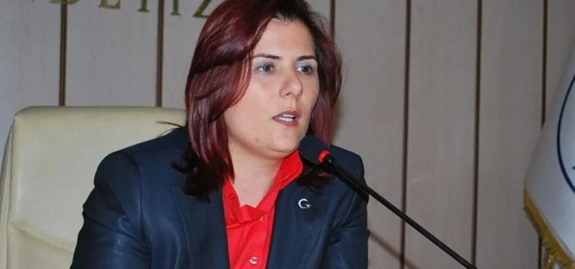 aydin in chp li baskani ozlem cercioglu