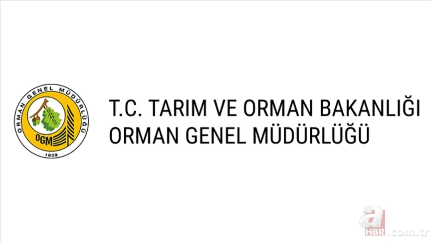 OGM personel alımı başvuruları bitti mi? OGM 496 işçi alımı sonuç tarihi 1