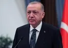 Başkan Erdoğan’dan ’Filenin Efeleri’ne tebrik