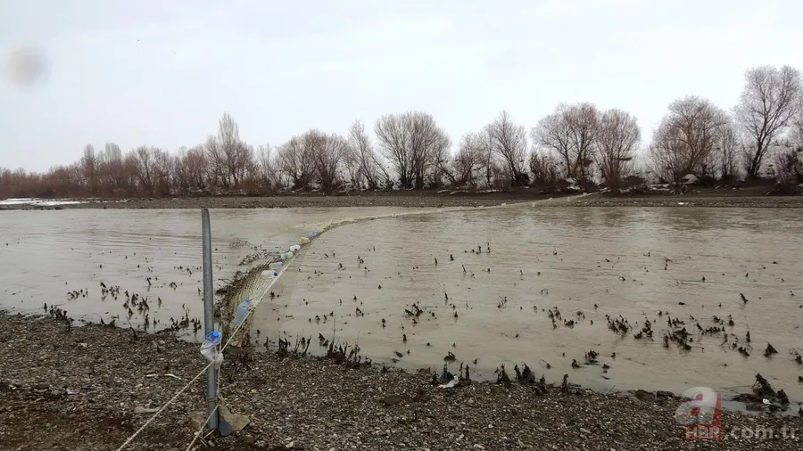 Muş’ta nehre düşen Yağmur’u arama çalışmaları 8. gününde! Nehre ağ çekildi 10