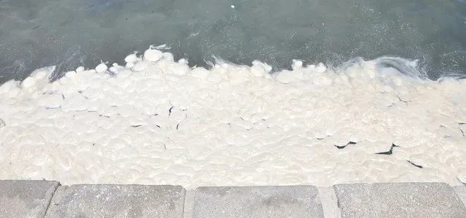 Muğla’daki Kumluk Plajı’ndaki görüntüler vatandaşları endişelendirdi! Kirliliğin kaynağı araştırılıyor
