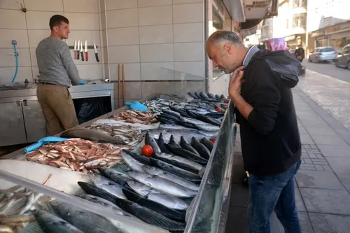 Balıkçıların ağlarına 'zindandelen balığı' takıldı