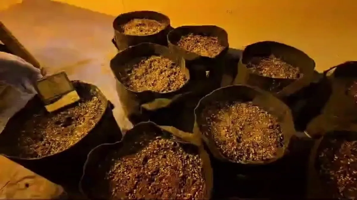 Sakarya’da uyuşturucu operasyonları: 110 gözaltı