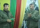 PKK’da Sofi Nurettin paniği!