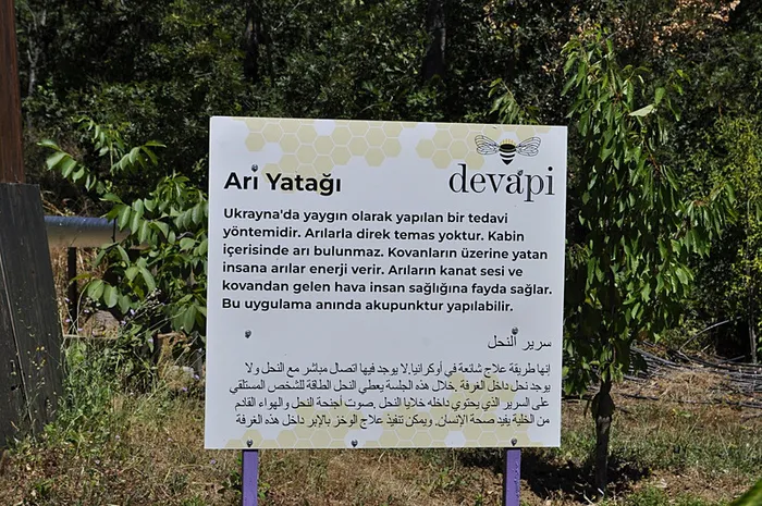 1720261547774.jpg Binlerce arının üzerine yatan, daha dinç kalkıyor! - 5