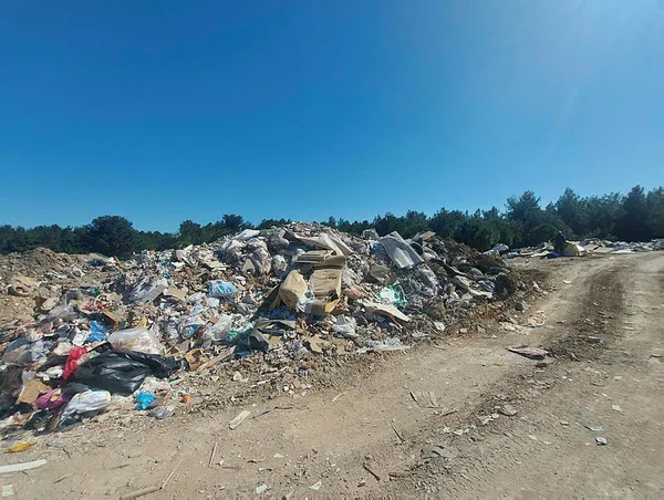 1667913372155.jpg İzmir Çevre Durum Raporu kirliliği gözler önüne serdi! Atık bertarafında uygun alan kalmadı - 3