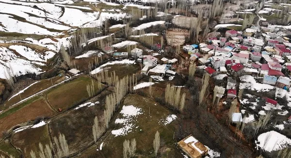 Bitlis'te korkunç olay! Göletin set duvarı yıkıldı hayvanlar telef oldu - 2