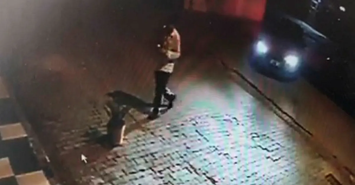 Adana'da şaşırtan olay! Lüks araçla gelip saksıdaki bitkiyi çaldılar