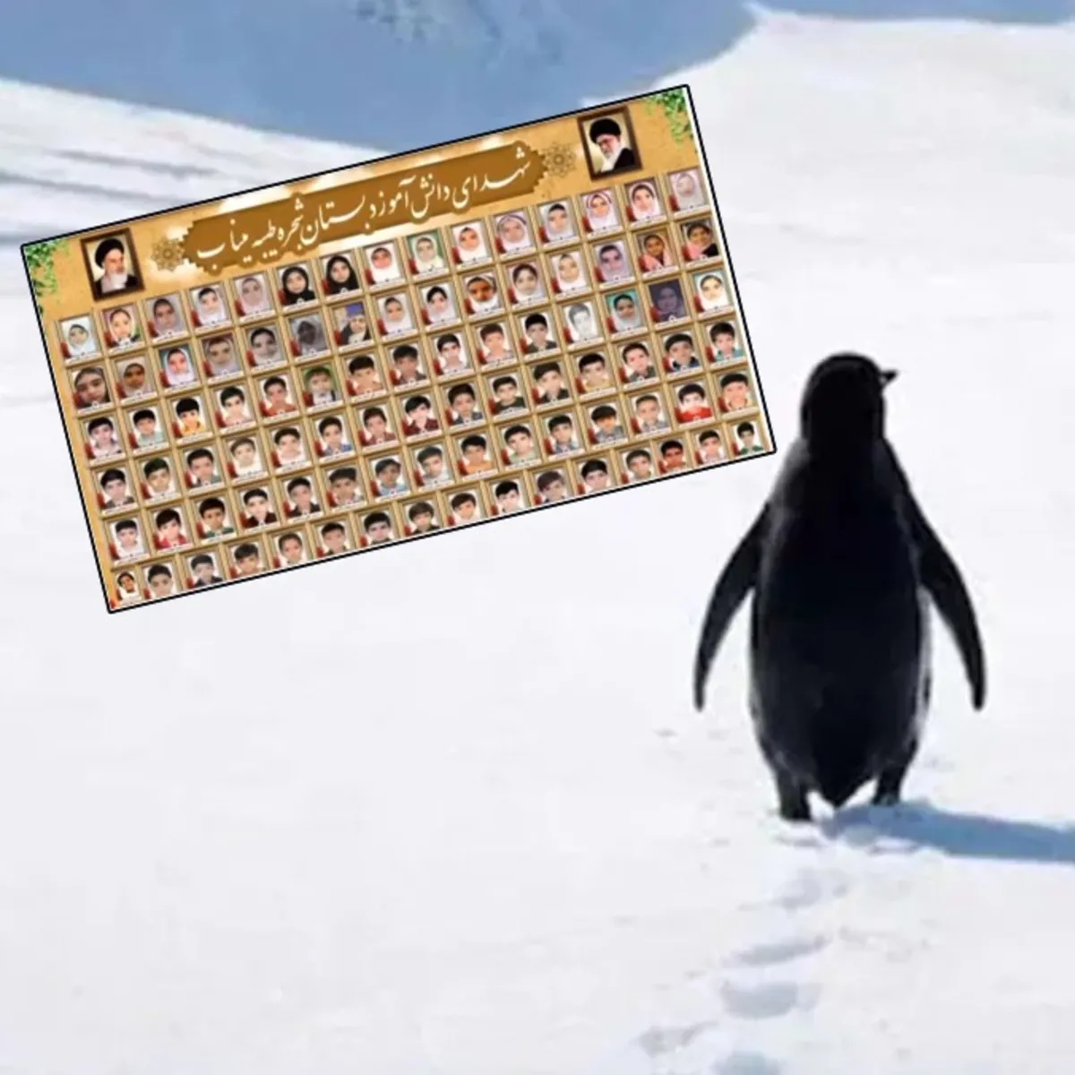 Batı'nın ikiyüzlü vicdanı: Penguene üzülen dünya ölen çocuklara kör!