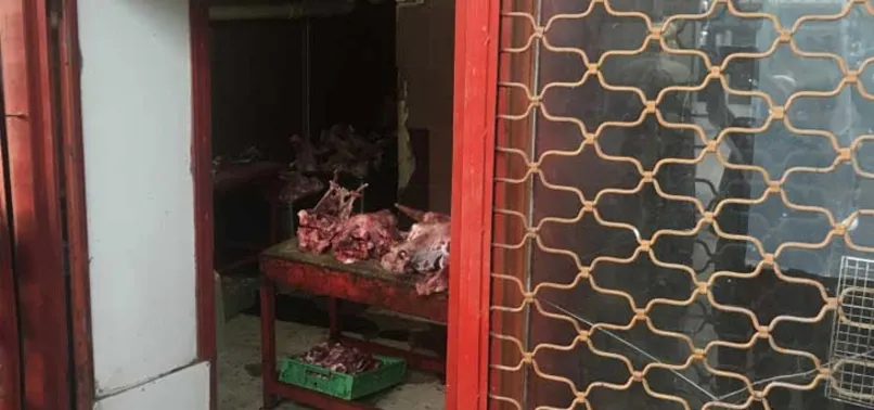 Sakarya’da kaçak et operasyonu! Tam 20 ton…