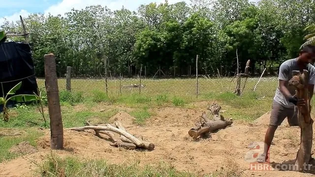 Öyle bir şey yaptı ki! Herkes hayran kaldı... 7