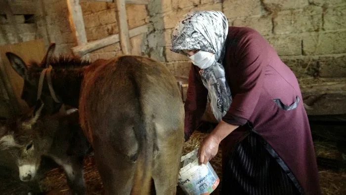 Bir litresi 100 TL'den satılıyor! Eşek sütüne koronavirüs nedeniyle talep azaldı - 3