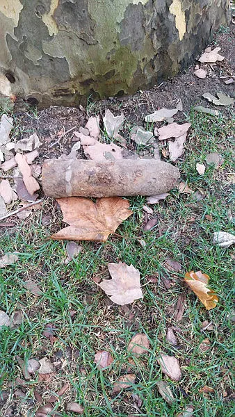 gulhane-parkinda-patlamamis-tarihi-havan-mermisi-bulundu-1629968113410.jpg Gülhane Parkı’nda patlamamış tarihi havan mermisi bulundu - 3