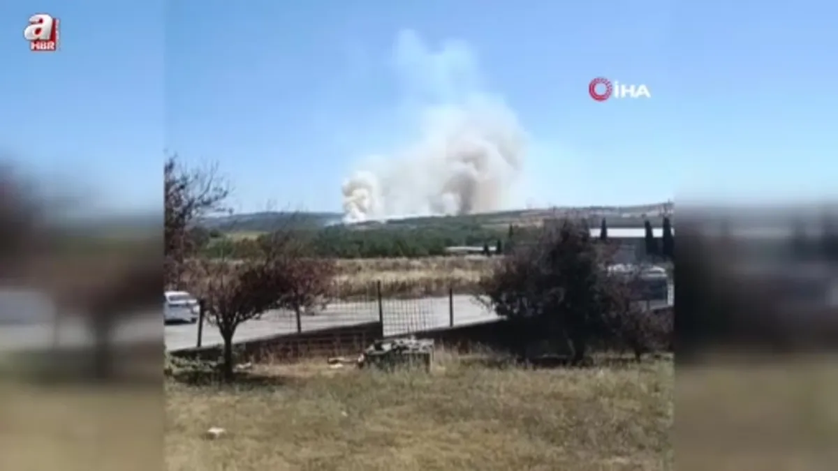 Silivri'de tarım arazisi yangını