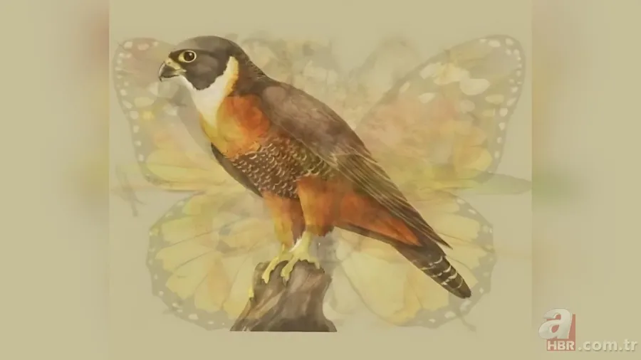 Kişilik testi: İlk fark ettiğiniz hayvan karakterinizin kodlarını veriyor 4