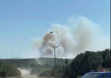Silivri'de orman yangını