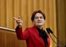 Akşener’den orman yangınıyla ilgili provokatif sözler