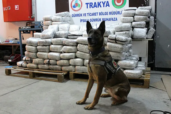 Son dakika: Ticaret Bakanı Ruhsar Pekcan açıkladı! "Kapıkule'deki operasyonda yeni rekora imza atıldı" - 4