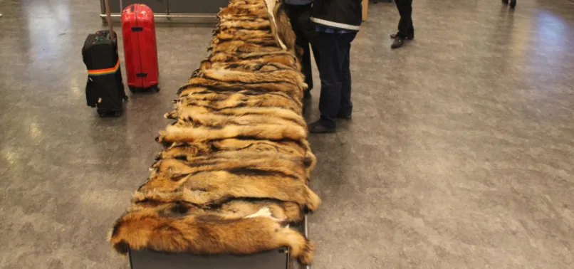 Unutulan valizden çıktı, gören şoka girdi!