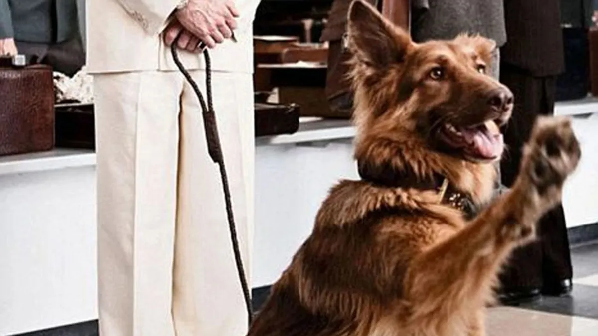 Almanya’da köpek sahiplerinden 429,7 milyon euro vergi: Mainz’da yıllık 186 euro, bazı ırklarda 1.660 euro