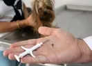 Bakanlıktan köpeklere mikroçip açıklaması
