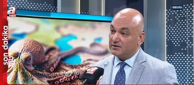 israilin-ahtapot-doktirini-nedir-dr-mehmet-bozkus-tum-bolge-ulkeleri-hedefte-1749904033874.jpg Ekran görüntüsü / A Haber