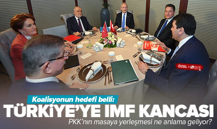 IMF talimatı Batı medyasından mı?