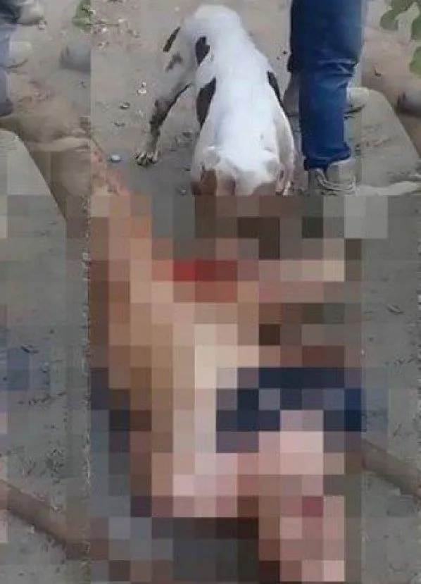 Çete üyelerinden tecavüzcü adama akılalmaz ceza - 1