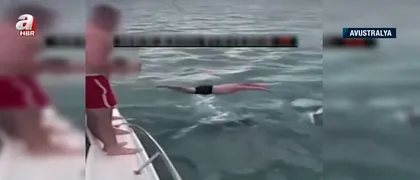 Katil balinaların üzerine balıklama atladı! Bedelini ağır ödedi