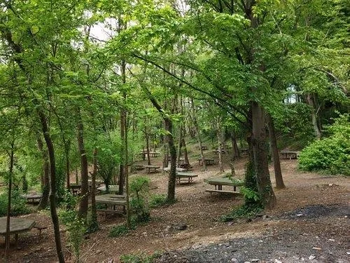 İstanbul Valiliği duyurdu! 24 Haziran -15 Ekim 2023 tarihleri arasında ormanlık alanlara girişler yasaklandı