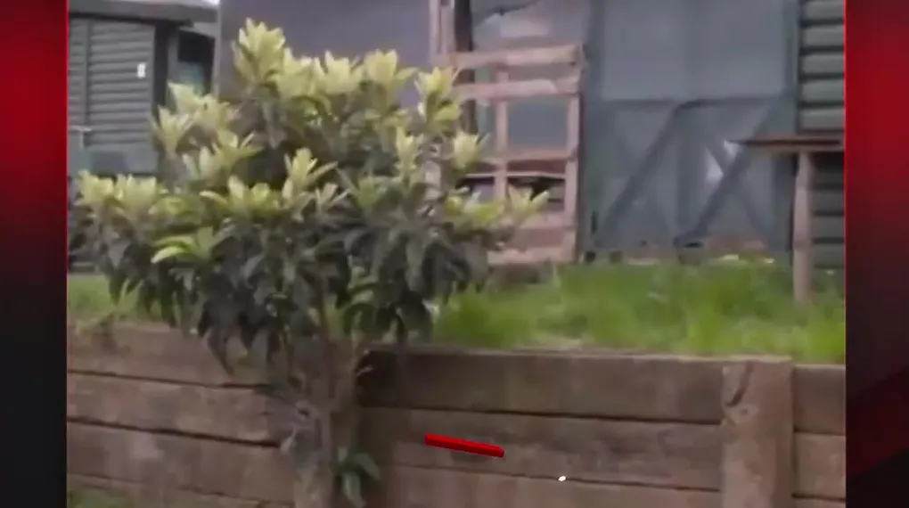 BAŞKAN ERDOĞAN'DAN HOBİ BAHÇELERİ TALİMATI