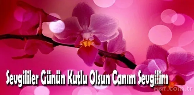 Sevgililer Günü mesajları 14 şubat! Sevgililer günü en anlamlı kısa uzun mesajlar! 14 şubat resimli mesajlar 20