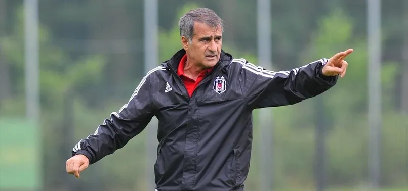 İşte Kartal'ın Ibrahimovic'i