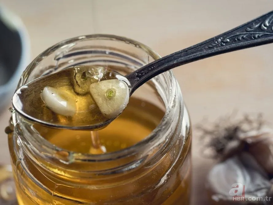 Kolesterol, tansiyon, kanser... Faydasını duyunca avuç avuç yutacaksınız: İbn-i Sina'nın asırlık reçetesi! 5