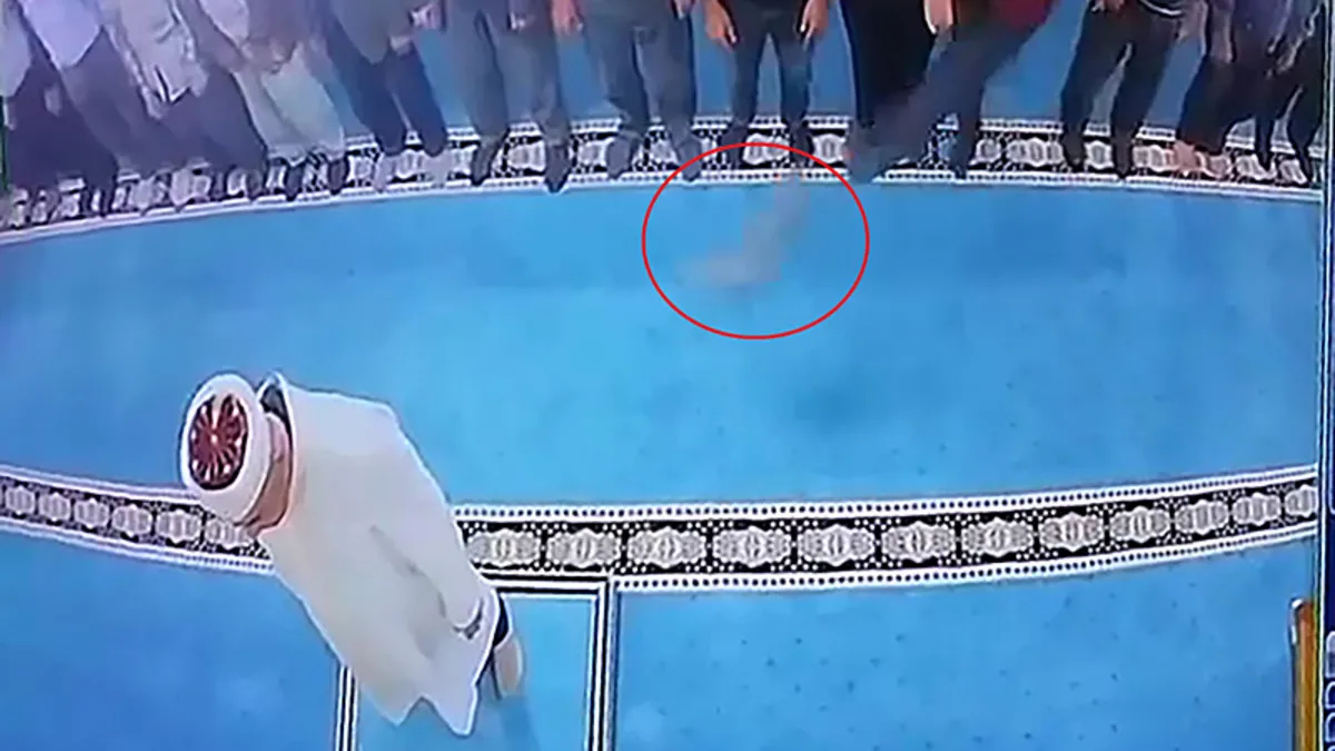 Namaz esnasında kediye tekme: O anlar kamerada! Gözaltına alındı