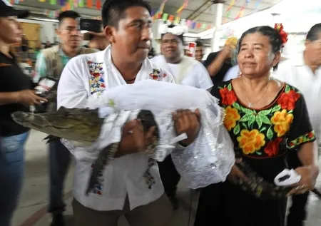 Timsaha gelinlik giydirdi! Akılalmaz olay… Belediye Başkanı timsahla evlenip dans etti