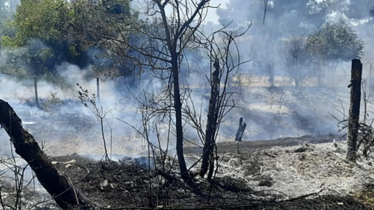 Çorum'da yangın sebebi pes dedirtti! Yol kenarına atılan atıklardan çıkmış