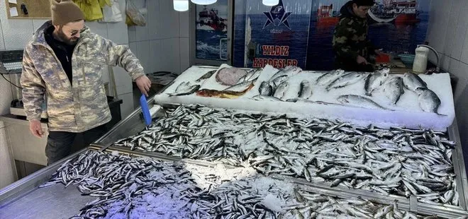Sinop'ta hava muhalefeti balık avcılığını ve fiyatları olumsuz etkiliyor